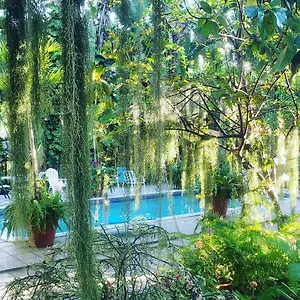 Guest house Orchid, Kingston
